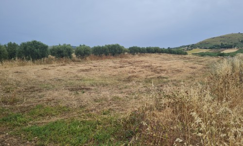 Foto case-indipendenti  valderice Vendesi caseggiato Chiesanuova